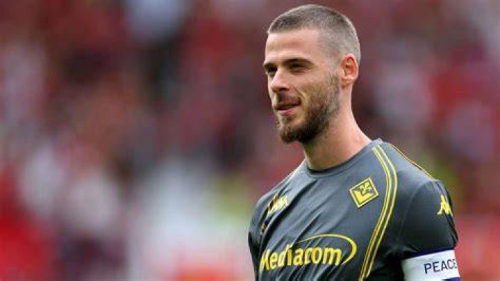 David de Gea David de Gea