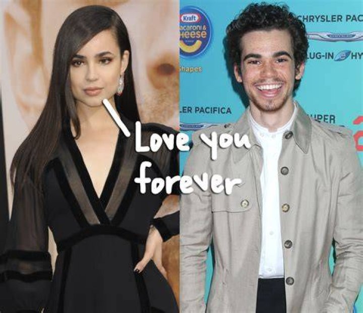 Did Sofia Carson and Cameron Boyce date?