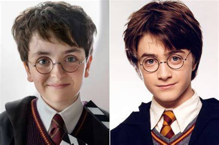 How old is Harry from Home Alone?