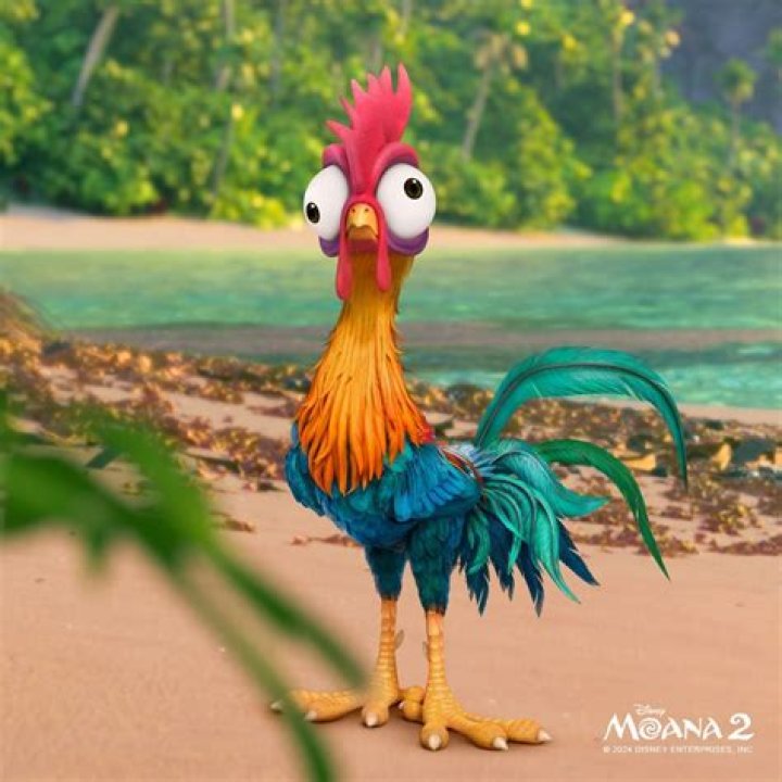 Is Hey hey a chicken or a rooster?