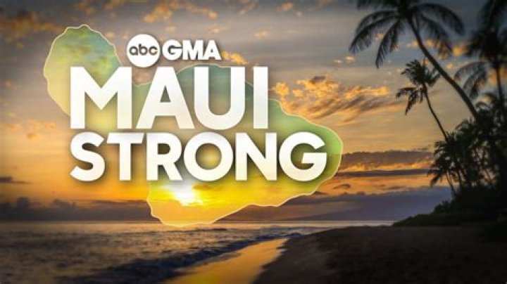 Maui from "You're Welcome" Music Video