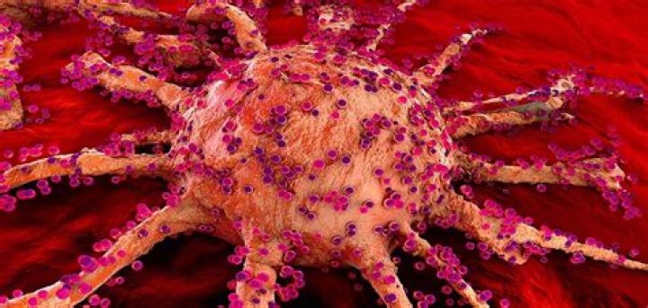 Second Drug Targeting KRASG12C Shows Benefit in Mutated Non-Small-Cell Lung Cancer